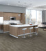 Philadelphia Commercial - Natural Formations - Ridges - Carpet Tile - Petrified Wood