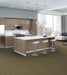 Philadelphia Commercial - Beyond Basic - Crazy Smart - Carpet Tile - Radiant