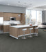 Philadelphia Commercial - Beyond Basic - Crazy Smart - Carpet Tile - Daring