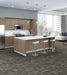 Philadelphia Commercial - Beyond Basic - Pure Attitude - Carpet Tile - Showy