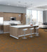 Philadelphia Commercial - Beyond Basic - Pure Attitude - Carpet Tile - Magnetic