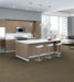 Philadelphia Commercial - Beyond Basic - Raw Beauty - Carpet Tile - Radiant