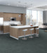 Philadelphia Commercial - Beyond Basic - Raw Beauty - Carpet Tile - Swanky