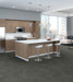 Philadelphia Commercial - Beyond Basic - Raw Beauty - Carpet Tile - Daring