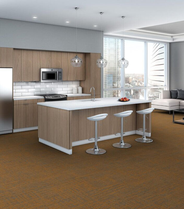 Philadelphia Commercial - Beyond Basic - Raw Beauty - Carpet Tile - Magnetic
