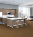 Philadelphia Commercial - Beyond Basic - Raw Beauty - Carpet Tile - Magnetic