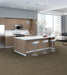 Philadelphia Commercial - Design Smart - Intellect - Carpet Tile - Scholarly