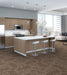 Philadelphia Commercial - Relativity - Chain Reaction - Carpet Tile - Compound Intere