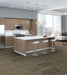 Philadelphia Commercial - Modern Mingle - Intermix - Carpet Tile - Fuse