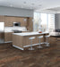 Philadelphia Commercial - Modern Mingle - Intermix - Carpet Tile - Amalgamate