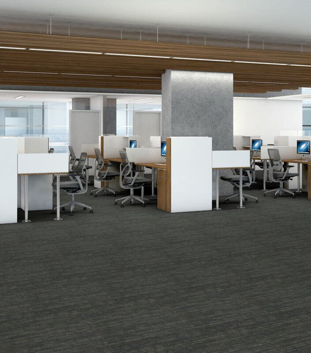 Philadelphia Commercial - Link - Hook Up - Carpet Tile - Shocked Office Install