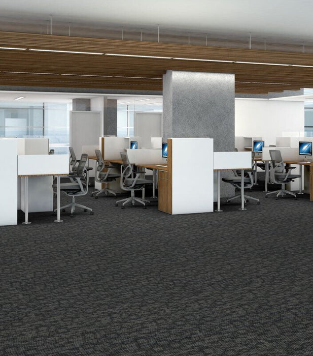 Philadelphia Commercial - Link - Hook Up - Carpet Tile - Startled Installed