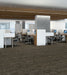 Philadelphia Commercial - Embrace Collection - Wonder - Carpet Tile - Strength