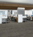 Philadelphia Commercial - Embrace Collection - Wonder - Carpet Tile - Self