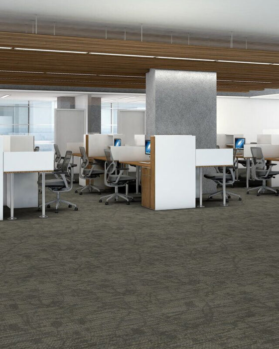 Philadelphia Commercial - Embrace Collection - Reveal - Carpet Tile - Courage