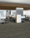 Philadelphia Commercial - Embrace Collection - Reveal - Carpet Tile - Courage