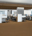 Philadelphia Commercial - Beyond Basic - Crazy Smart - Carpet Tile - Magnetic