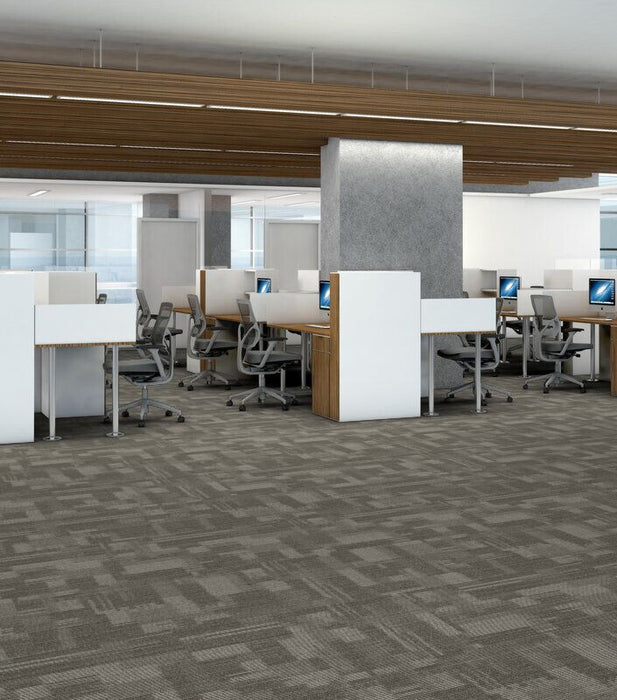 Philadelphia Commercial - Beyond Basic - Pure Attitude - Carpet Tile - Showy