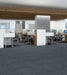 Philadelphia Commercial - Beyond Basic - Raw Beauty - Carpet Tile - Crafty