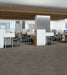 Philadelphia Commercial - Beyond Basic - Raw Beauty - Carpet Tile - Keen