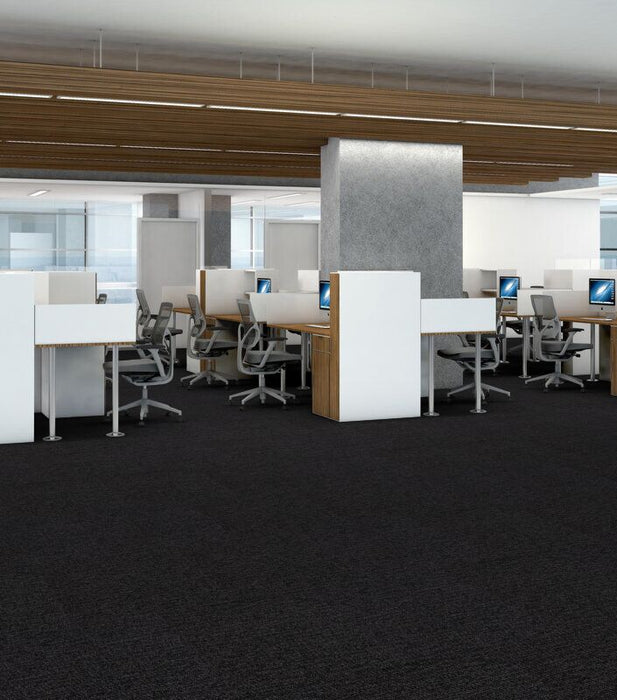 Philadelphia Commercial - Walk This Way - Step Right In - Carpet Tile - Strut Office Install