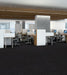 Philadelphia Commercial - Walk This Way - Step Right In - Carpet Tile - Strut Office Install