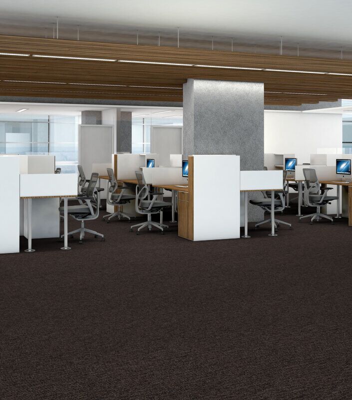 Philadelphia Commercial - Walk This Way - Step Right In - Carpet Tile - Sashay Call Center Install