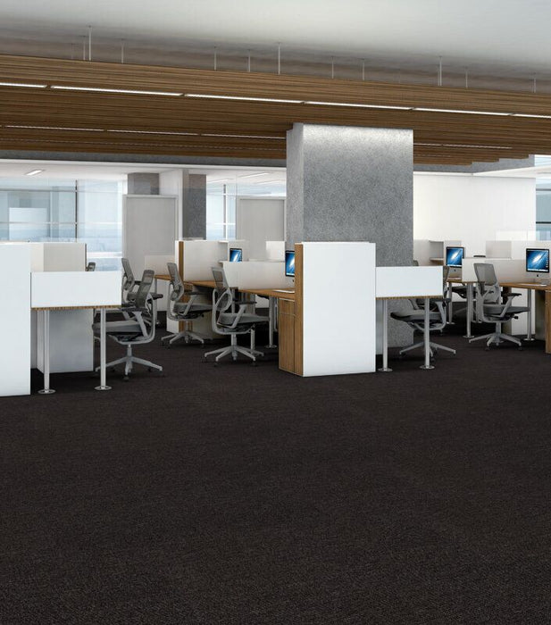 Philadelphia Commercial - Walk This Way - Step Right In - Carpet Tile - Shuffle Call Center Installation