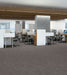 Philadelphia Commercial - Surface Works - Crackled - Carpet Tile - Shape Office Install