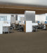Philadelphia Commercial - Flattery - Carpet Tile - Scholarly office installation