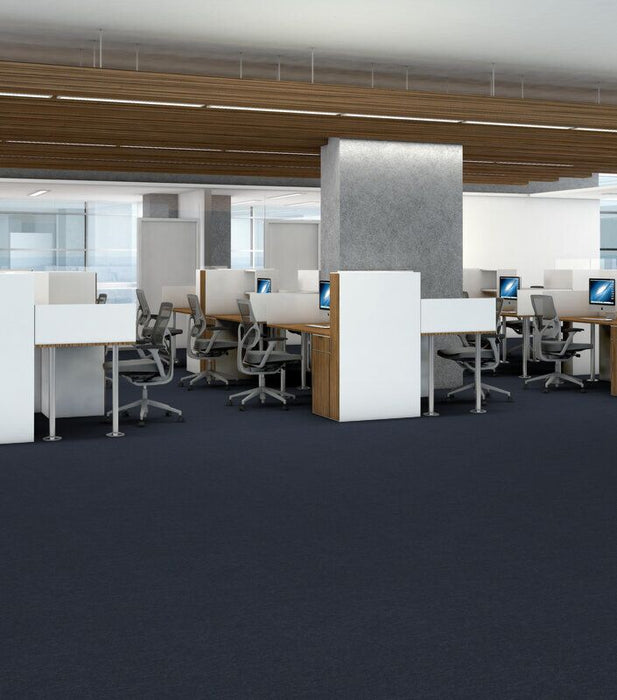 Philadelphia Commercial - Profusion - Carpet Tile - Volume room Scene