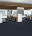 Philadelphia Commercial - Profusion - Carpet Tile - Volume room Scene
