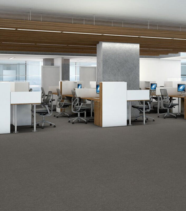 Philadelphia Commercial - Profusion - Carpet Tile - Plenitude Installed
