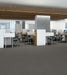 Philadelphia Commercial - Profusion - Carpet Tile - Plenitude Installed