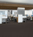 Philadelphia Commercial - Profusion - Carpet Tile - Abundance Call Center Install