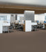 Philadelphia Commercial - Profusion - Carpet Tile - Excess Installed