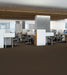 Philadelphia Commercial - Profusion - Carpet Tile - Overflow Office Install