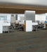 Philadelphia Commercial - Modern Mingle - Intermix - Carpet Tile - Blend