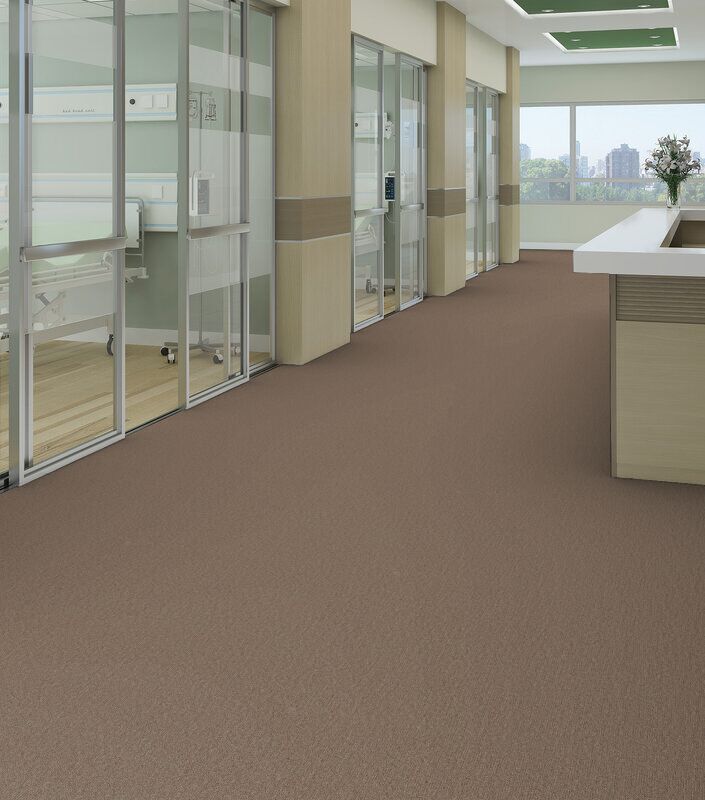Philadelphia Commercial - Profusion - Carpet Tile - Ample Installed