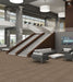 Philadelphia Commercial - Awestruck - Mystify - Carpet Tile - Bewilder