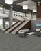 Philadelphia Commercial - Embrace Collection - Reveal - Carpet Tile - Power