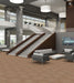 Philadelphia Commercial - Duo Collection - Carbon Copy - Carpet Tile - Alter Ego