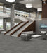 Philadelphia Commercial - Duo Collection - Carbon Copy - Carpet Tile - Ditto