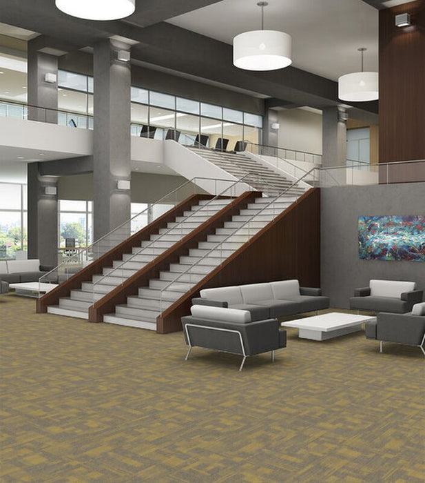 Philadelphia Commercial - Beyond Basic - Pure Attitude - Carpet Tile - Radiant