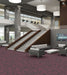 Philadelphia Commercial - Beyond Basic - Pure Attitude - Carpet Tile - Hotshot
