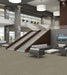 Philadelphia Commercial - Design Smart - Genius - Carpet Tile - Brilliant