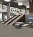 Philadelphia Commercial - Design Smart - Genius - Carpet Tile - Masterful