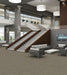 Philadelphia Commercial - Design Smart - Genius - Carpet Tile - Scholarly
