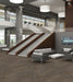 Philadelphia Commercial - In The Press - Declare - Carpet Tile - Newsfeed Installed