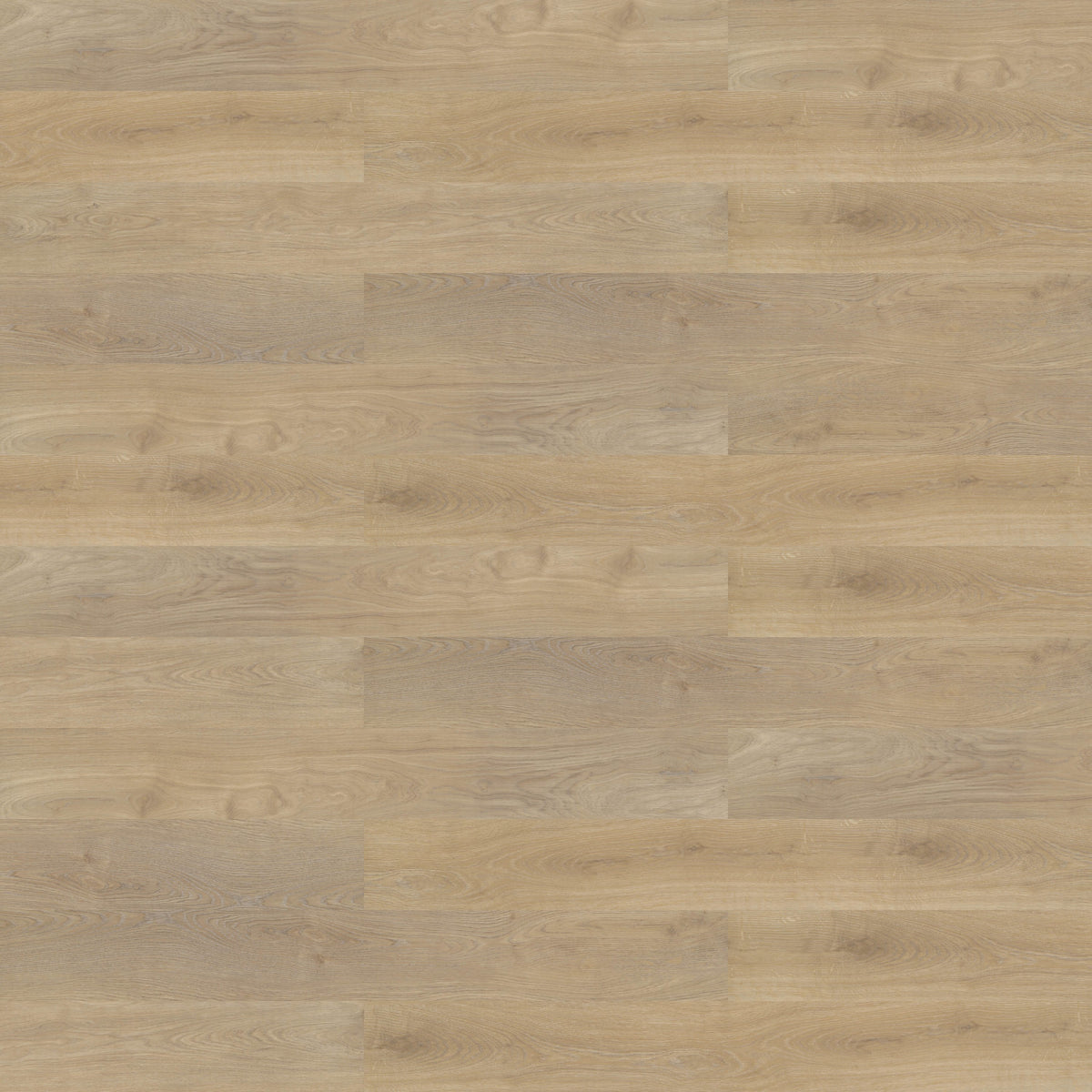 Shaw Contract - Branching Out 5mm - 6 in. x 48 in. Luxury Vinyl - Prairie Oak